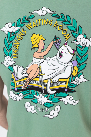 Koszulka Ripndip Waiting In Heaven