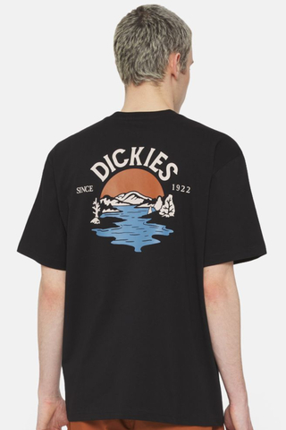 Koszulka Dickies Beach