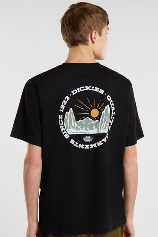 Dickies Outdoor T-shirt