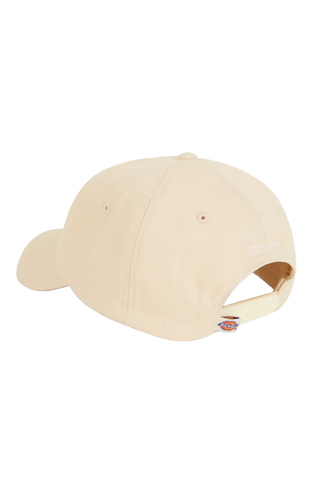 Kšiltovka Dickies Hardwick