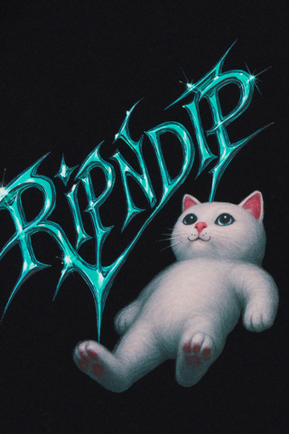 Mikina S Kapucí Ripndip Space Vision