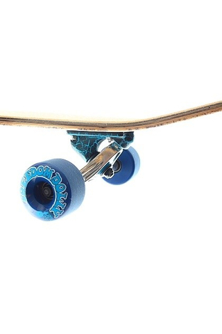 THE BLUE BEAK