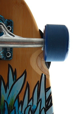 THE BLUE BEAK