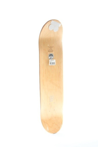 SHECKLER XXL
