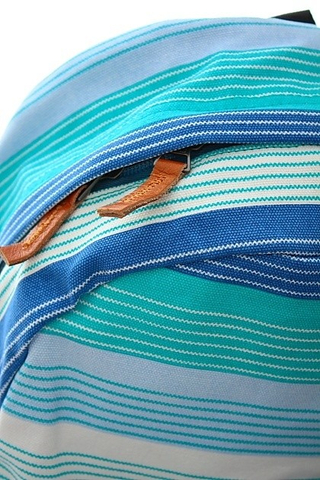 DESERTED SNAKE