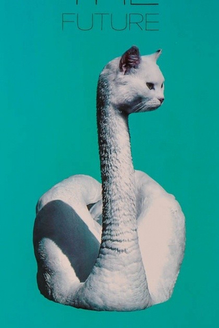 CATSWAN