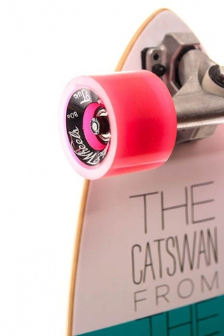 CATSWAN