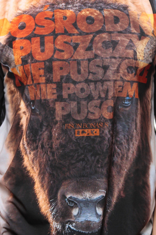 Koszulka El Polako Żubr 