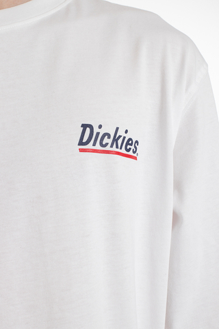 Longsleeve Dickies Federal Dam