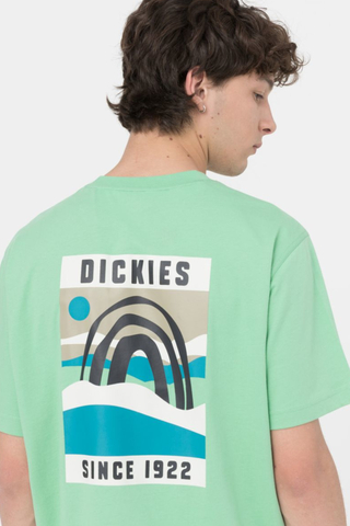 Koszulka Dickies Baker City