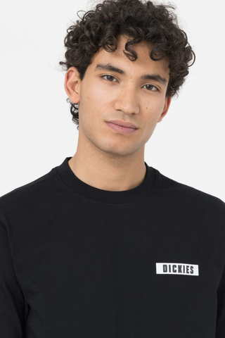 Tričko Dickies Baker City