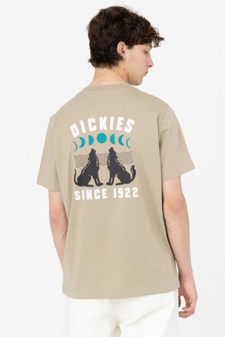Dickies Kerby T-shirt