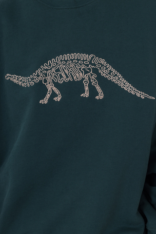 Bluza Bez Kaptura Relab Dino