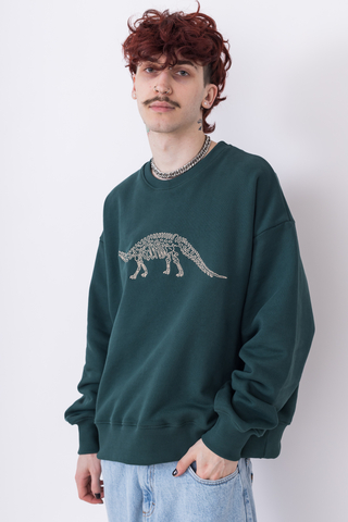 Bluza Bez Kaptura Relab Dino