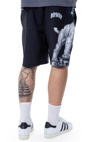 Boardshorty Ripndip Wasteland