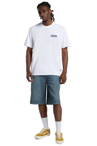 Kraťasy Dickies 958 13-Inch Loose