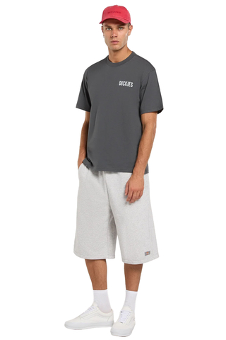 Koszulka Dickies Wolfhurst