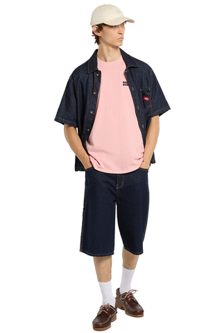 Tričko Dickies Buchtell