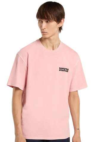 Tričko Dickies Buchtell