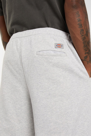 Kraťasy Dickies Streetsboro 13-Inch