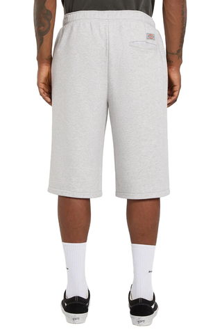 Kraťasy Dickies Streetsboro 13-Inch