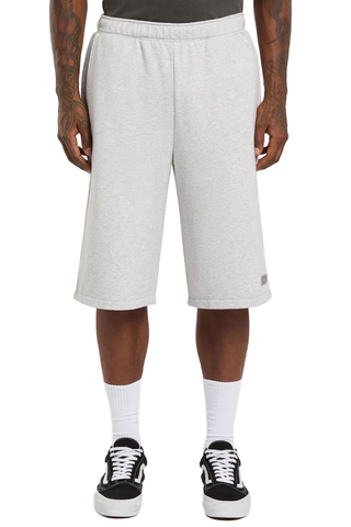 Szorty Dickies Streetsboro 13-Inch