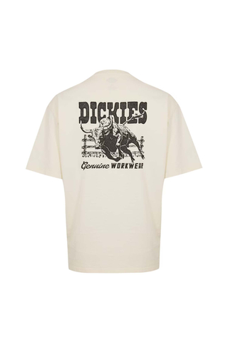 Koszulka Dickies Buchtell