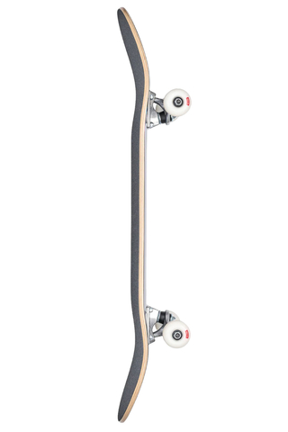 Skateboard Globe G0 Unfussed