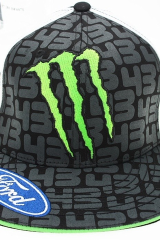 KEN BLOCK MONSTER FORD 