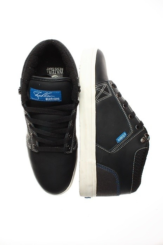 SHECKLER 4