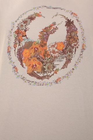 ALOHA