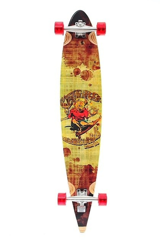 CARVIN 9ER