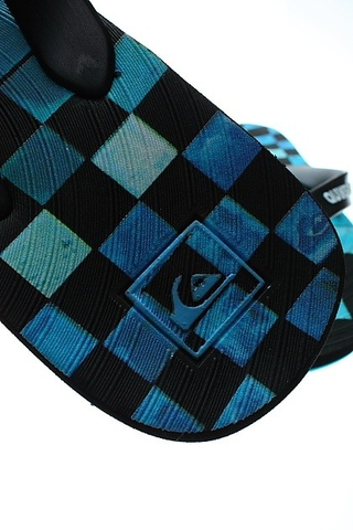 CARVER DNA