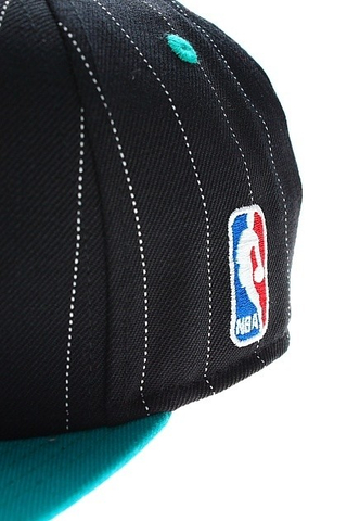 CHARLOTTE HORNETS