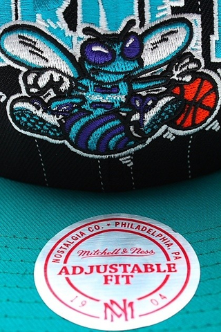 CHARLOTTE HORNETS