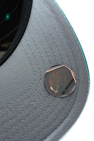CHARLOTTE HORNETS