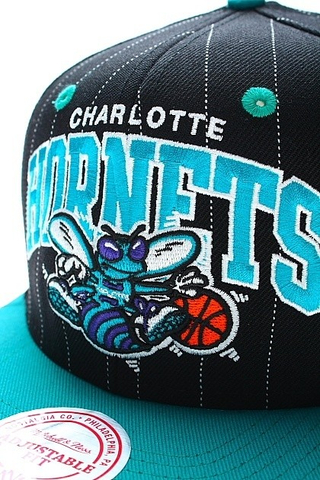 CHARLOTTE HORNETS