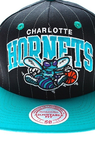 CHARLOTTE HORNETS