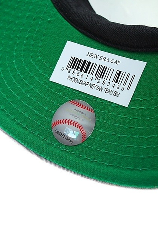 PHOEM SNAP NEW YORK YANKEES