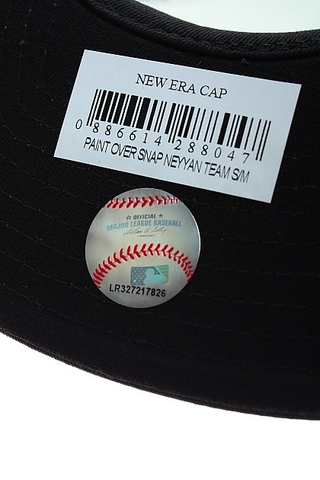 PAINT OVER SNAP NEW YORK YANKEES