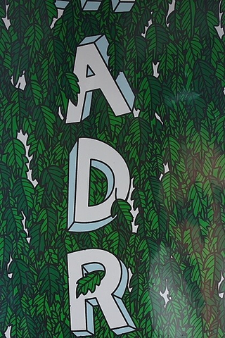 LEAFS