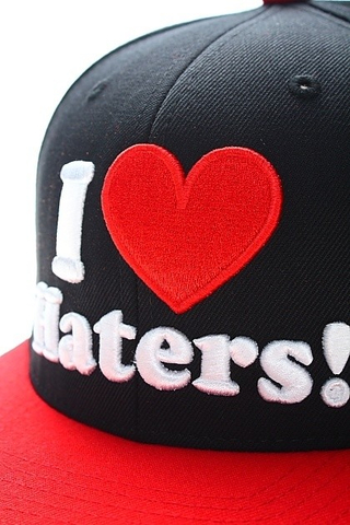 I LOVE HATERS