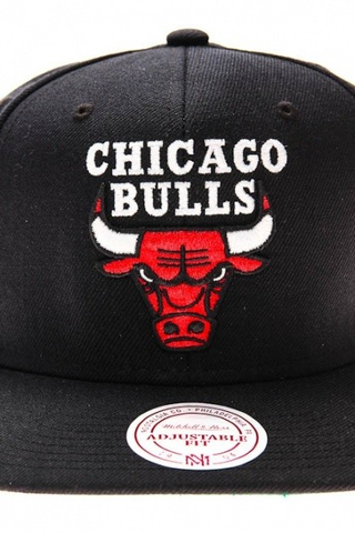 CHICAGO BULLS