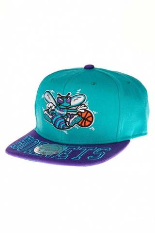 CHARLOTTE HORNETS