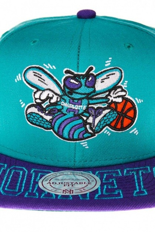 CHARLOTTE HORNETS
