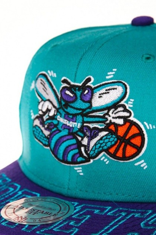 CHARLOTTE HORNETS