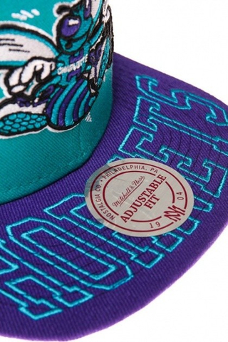 CHARLOTTE HORNETS