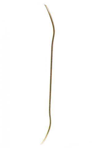 Blat Hook Ups Nurse Girl 8.0