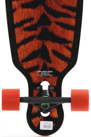 Longboard Long Island Tiger