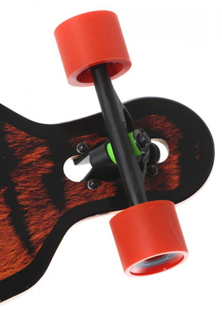 Longboard Long Island Tiger